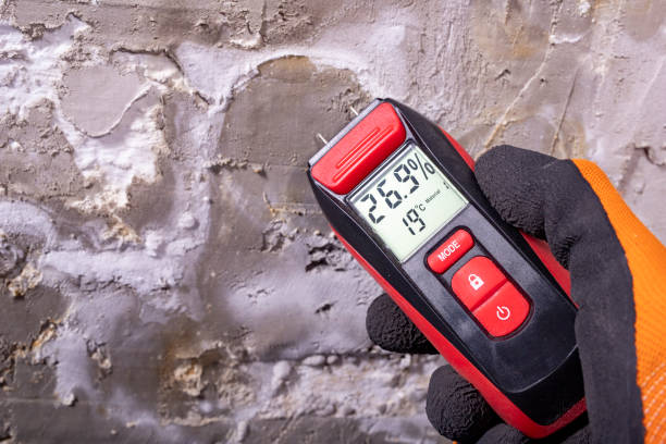 Best Mold Remediation for Schools in East Grand Forks, MN