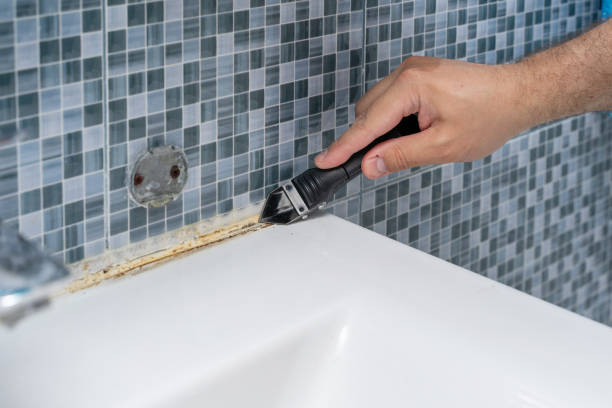 Professional Mold Remediation in East Grand Forks, MN